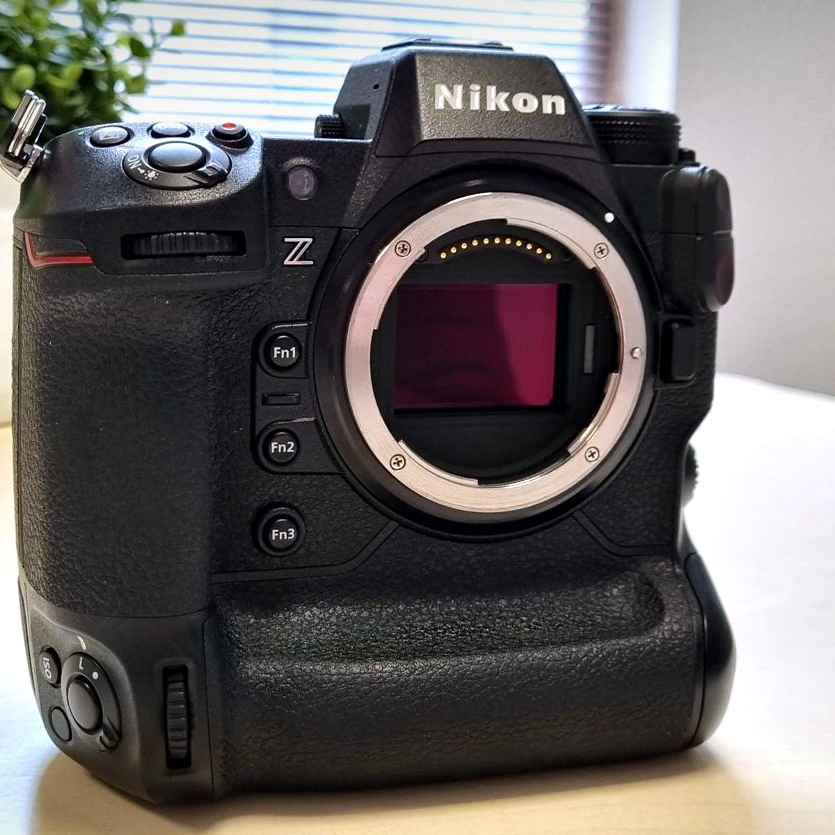 Nikon Z9 review | Space