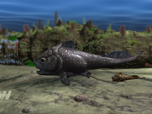 Oldest Embryo Fossil Found | Live Science