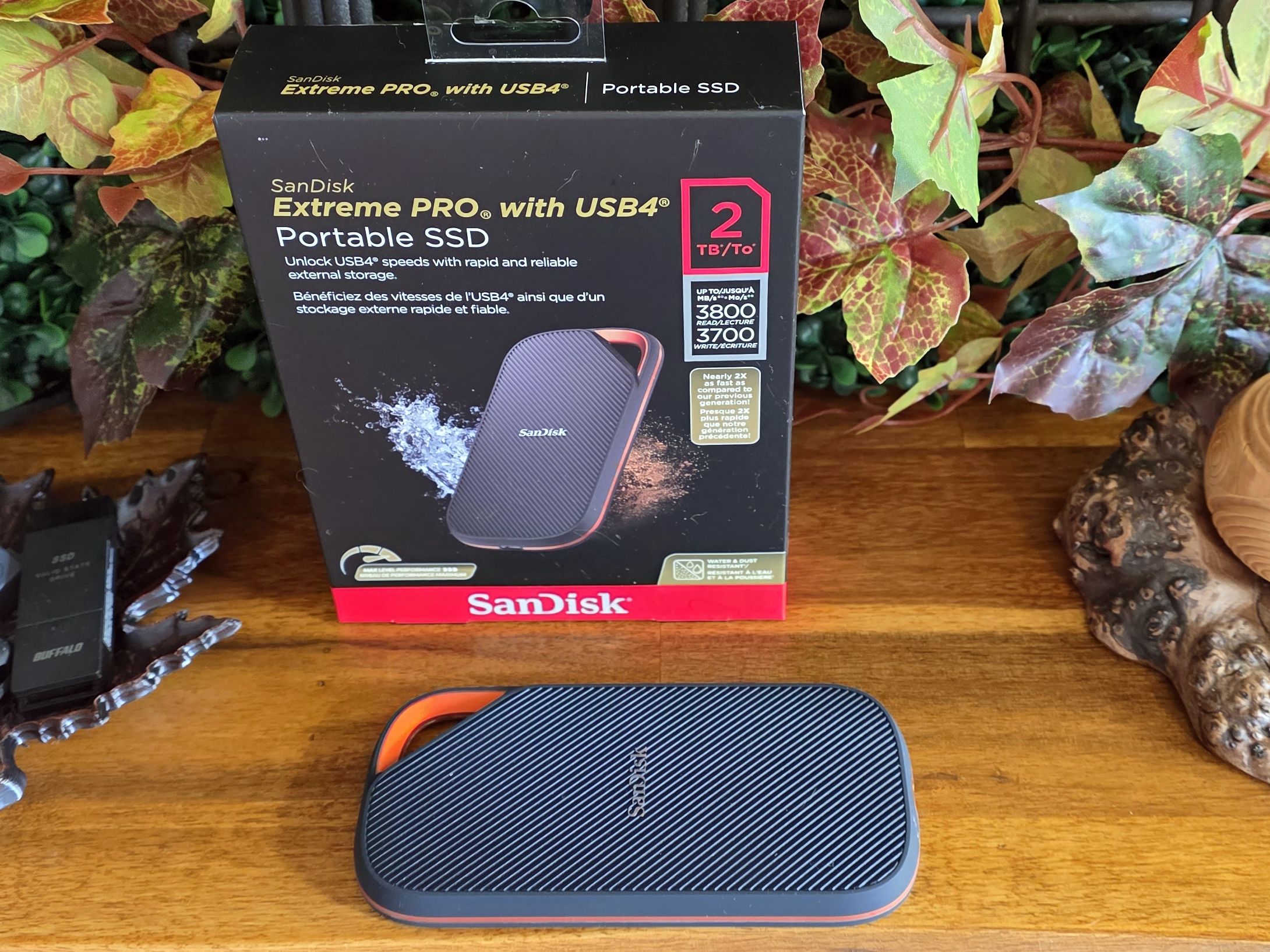 SanDisk Extreme Pro With USB4 (2TB) review: Bursty speed, but not