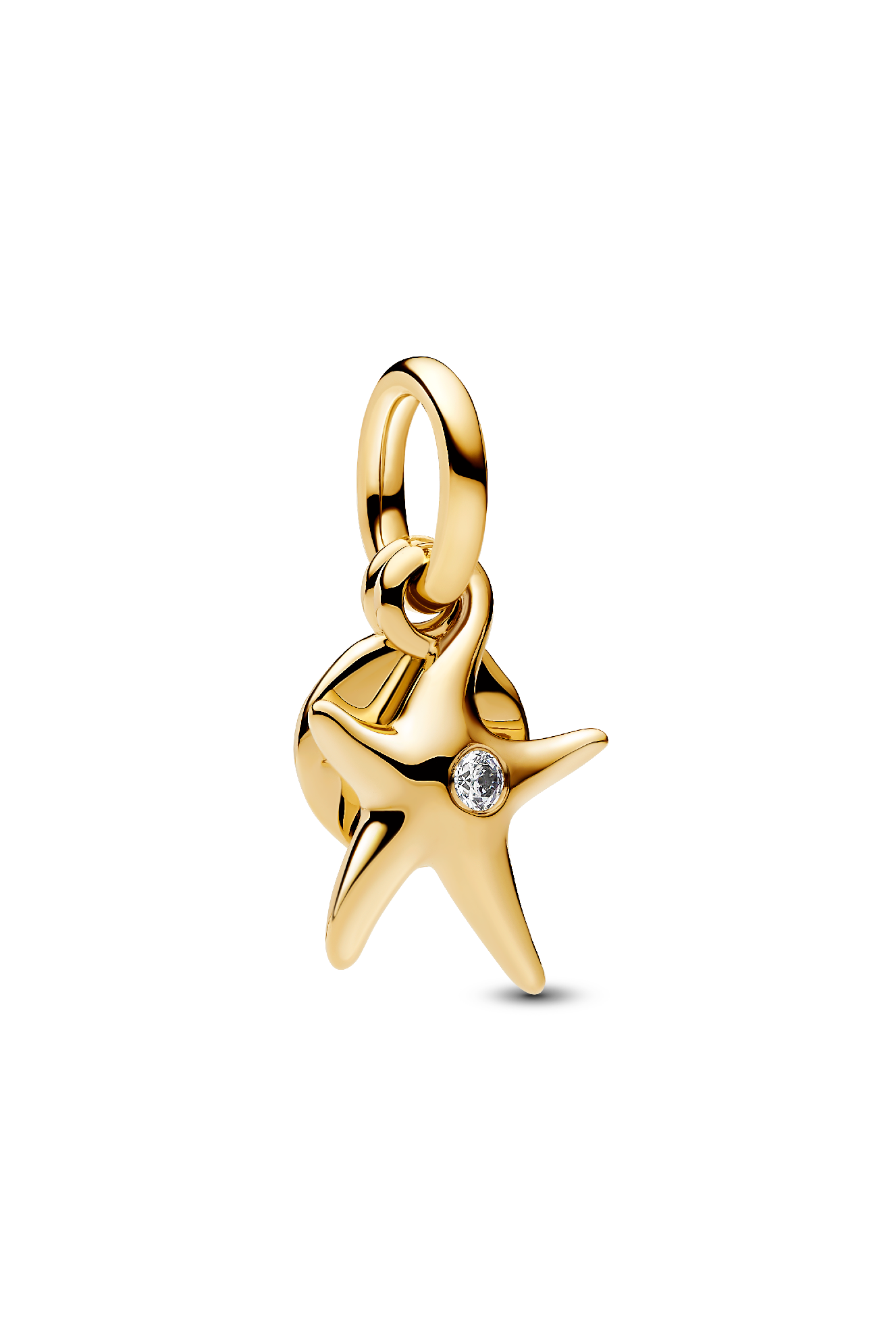 Starfish Double Dangle Charm