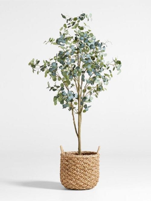 Faux Silver Dollar Eucalyptus Tree 8'