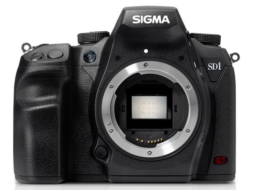 【美品】SIGMA SD1 Merrill fe2ee9cf8912ec97ffed50b605a6f8