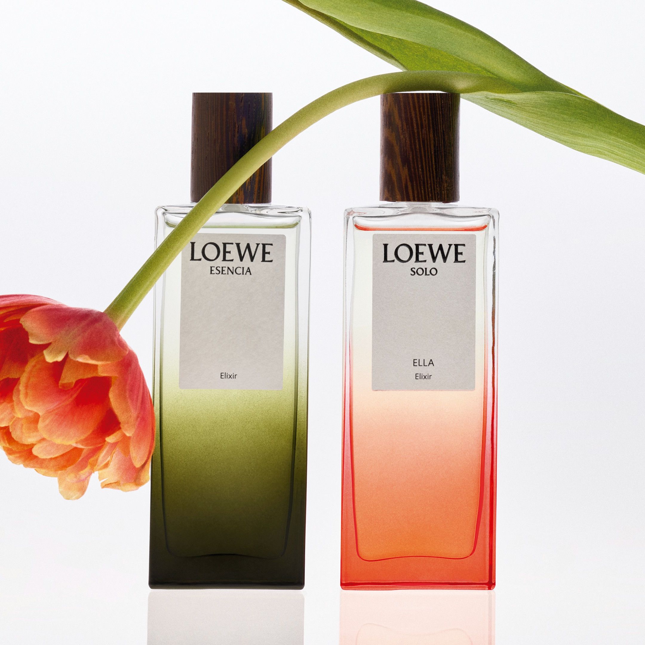 LOEWE PERFUMES Eau de Parfum - Esencia Elixir, 100ml | NET-A