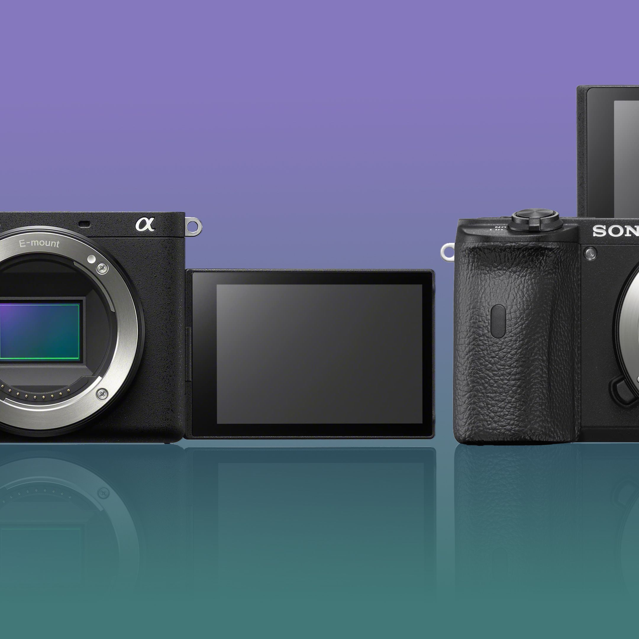 Sony A6600 vs A6700: Which of Sony's compact APS-C cameras is best