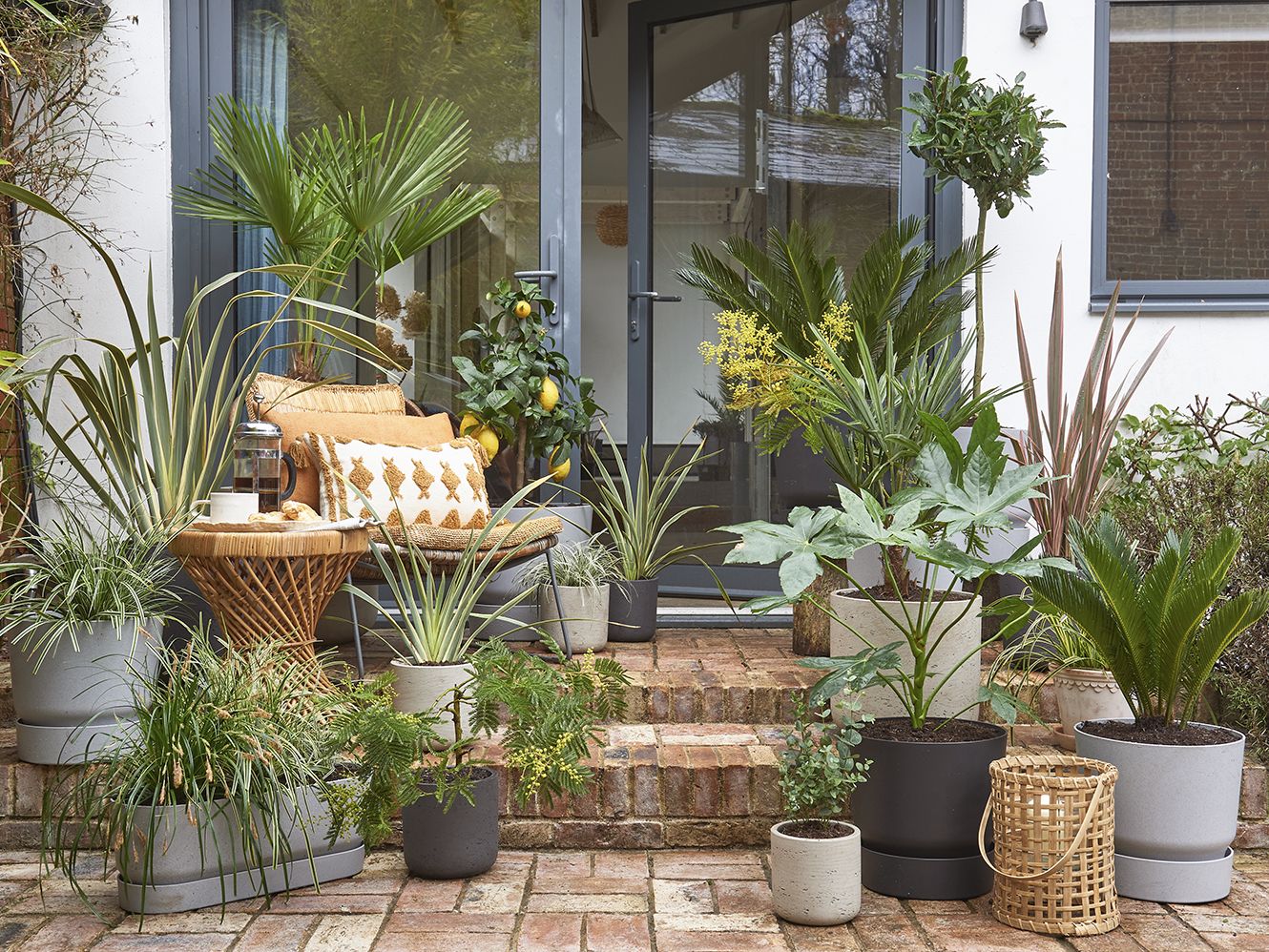 small-garden-room-ideas-on-a-budget-infoupdate