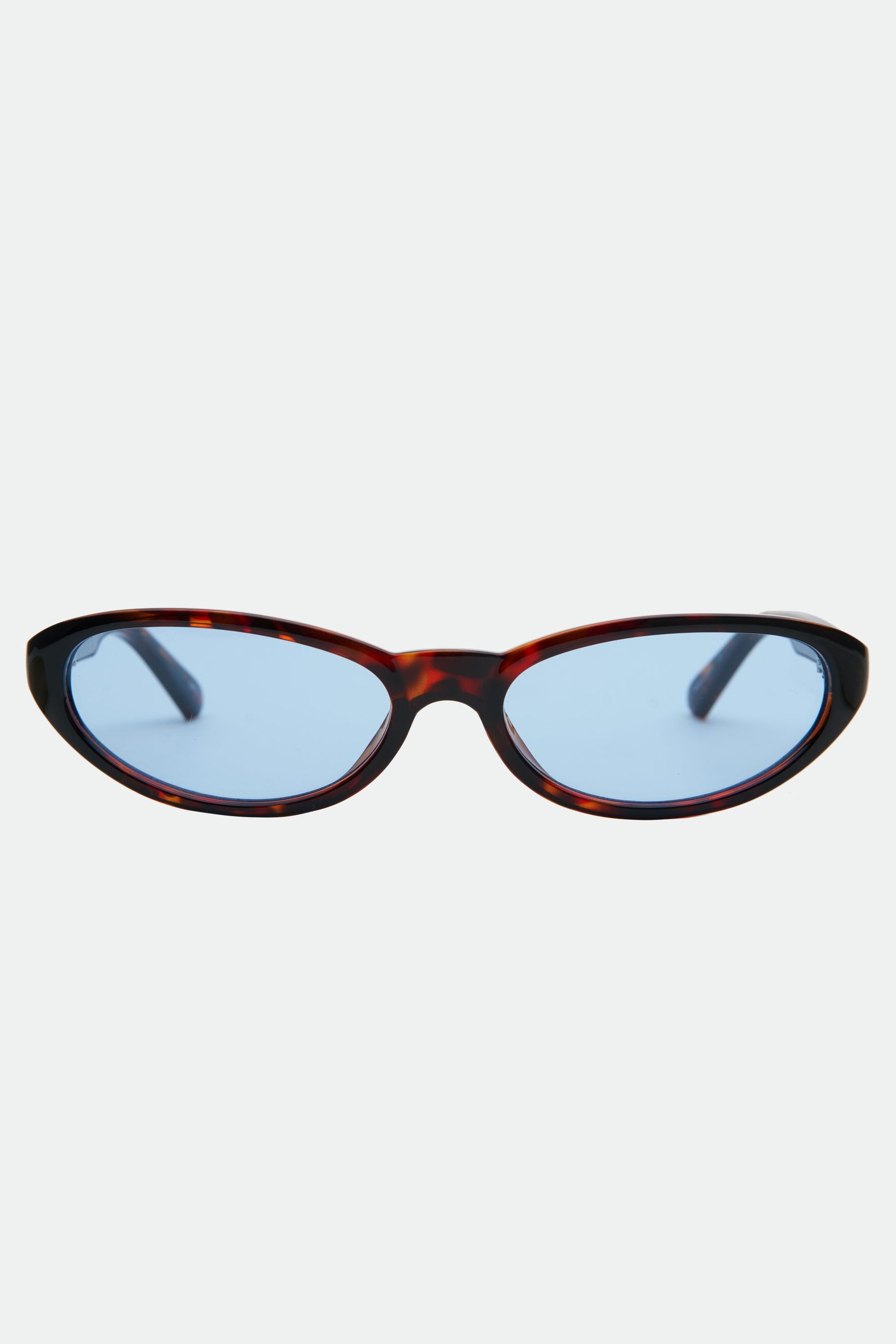 Kenny - Tortoiseshell