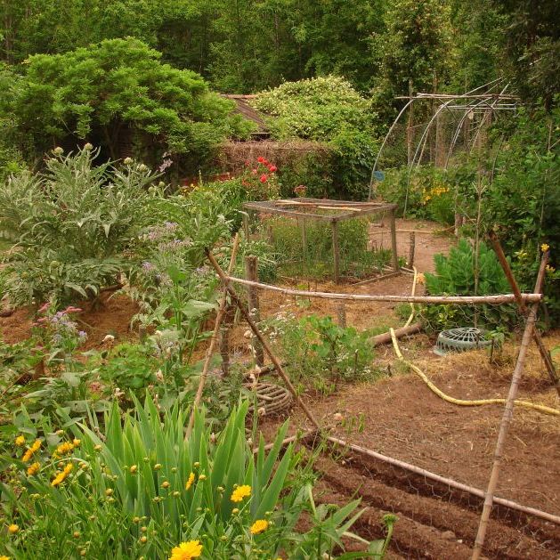 Potager Garden Layout And Design Garden Plan 2015: Vegetable Garden