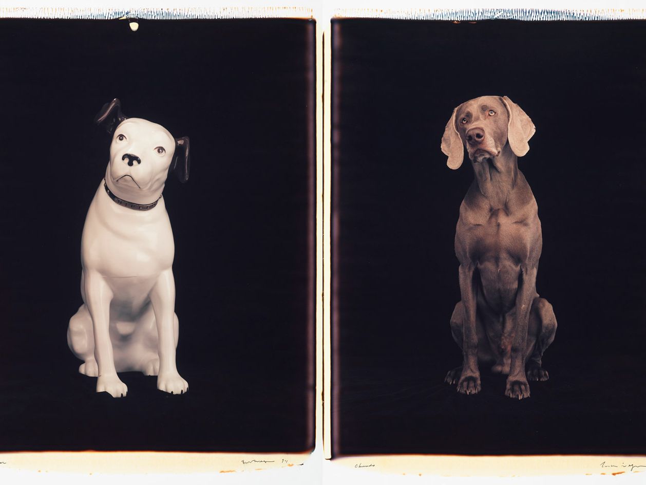 William Wegman
