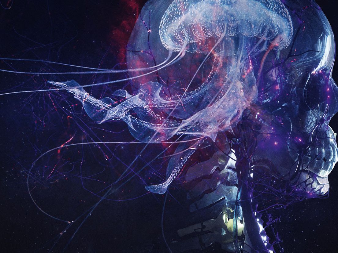 Avant-black metal pioneers Blut Aus Nord embark on a thrilling new