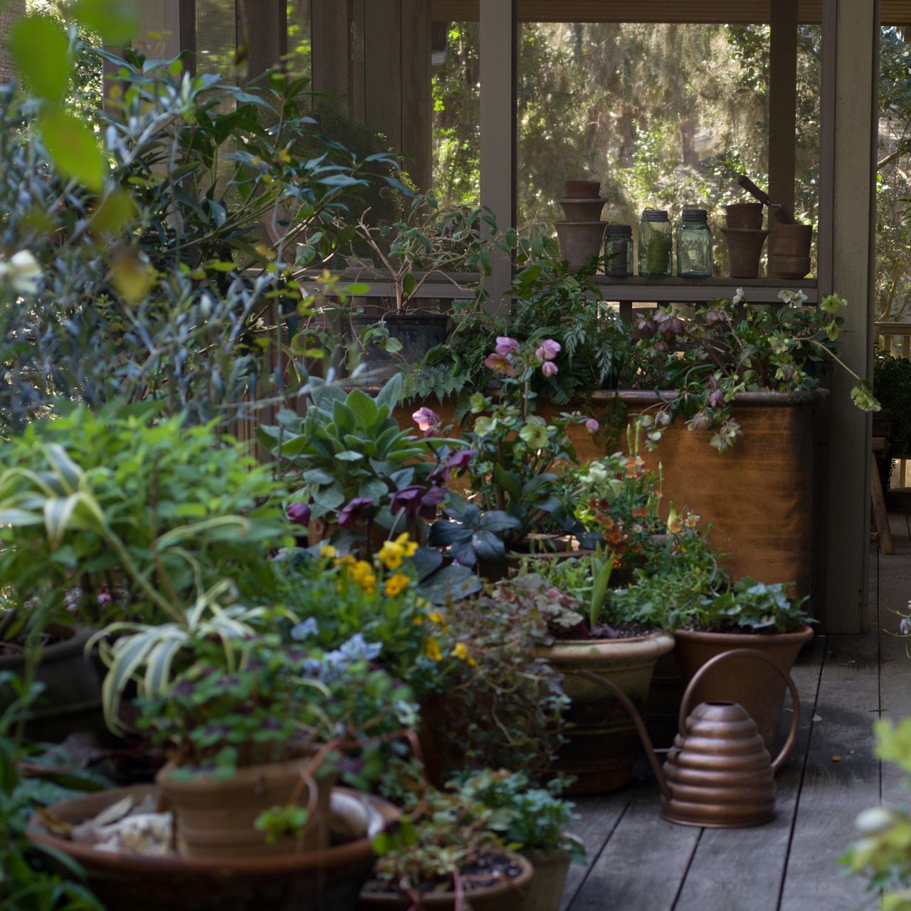 Lucy Hunter's Charleston garden
