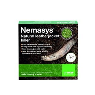 Nemasys Leatherjacket Killer Nematodes 100 Sqm
