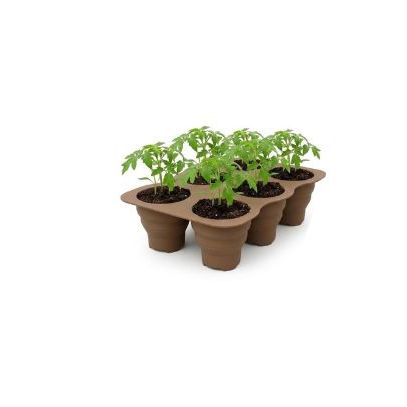 Collapsible Seed Starter Tray