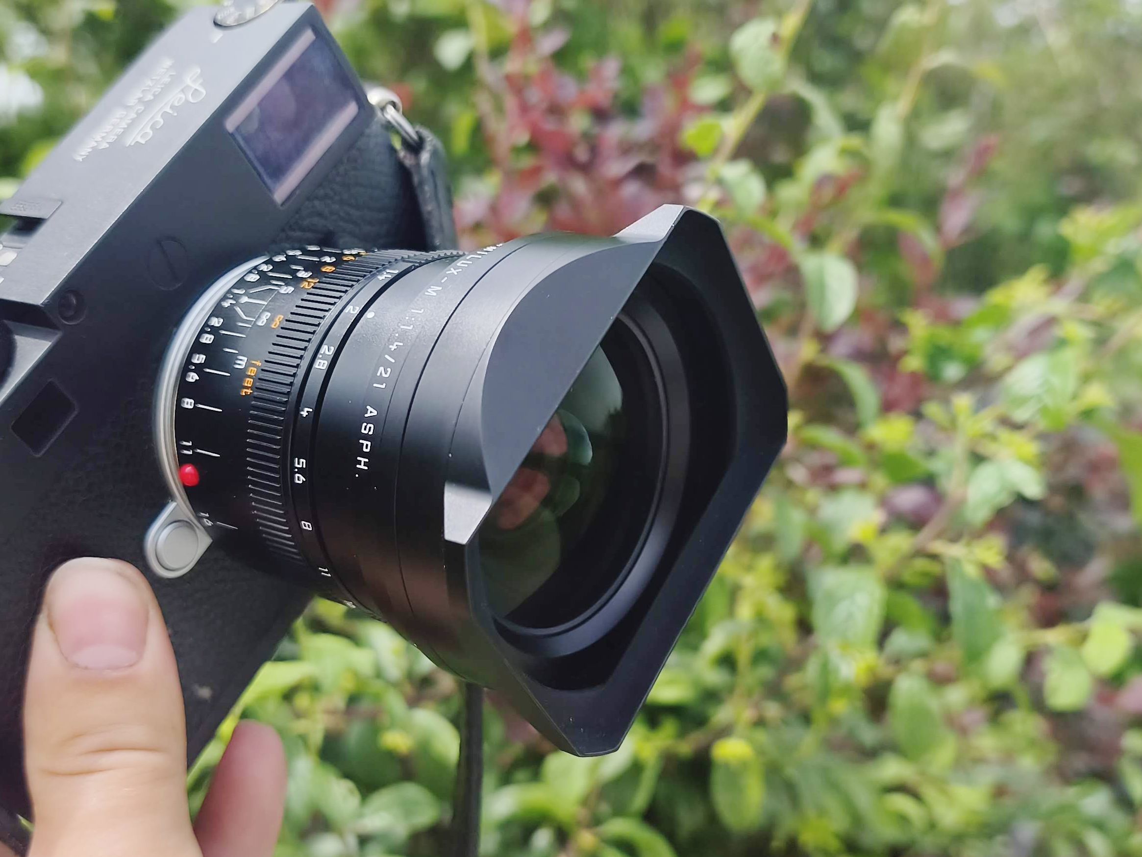 Leica 21mm Summilux-M f/1.4 Asph review – rare and beautiful, but