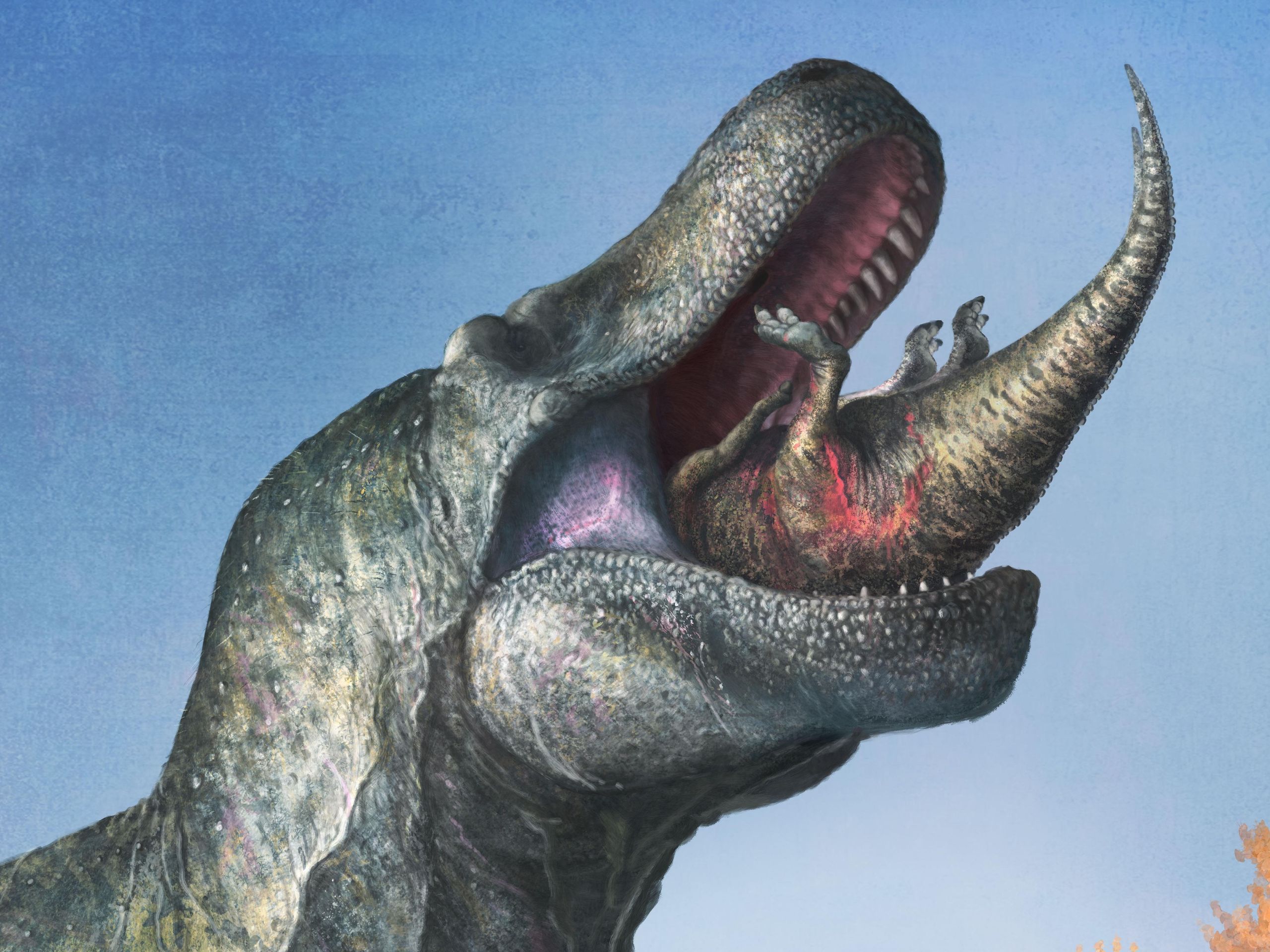 T. rex had thin lips and a gummy smile, controversial study
