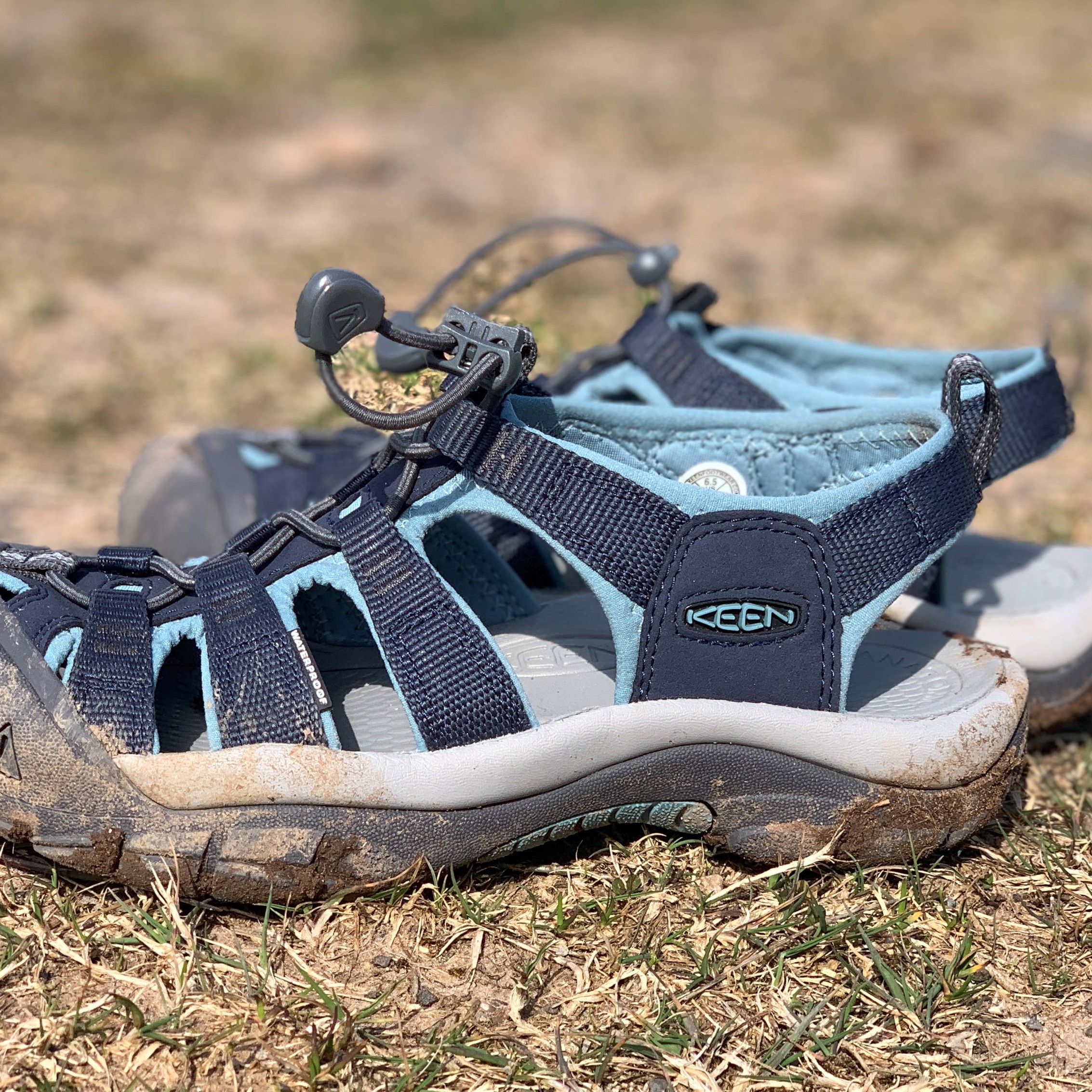 【KEEN 】NEWPORT H2 5a5167b8c6ac7b436fb45b8fd612d7