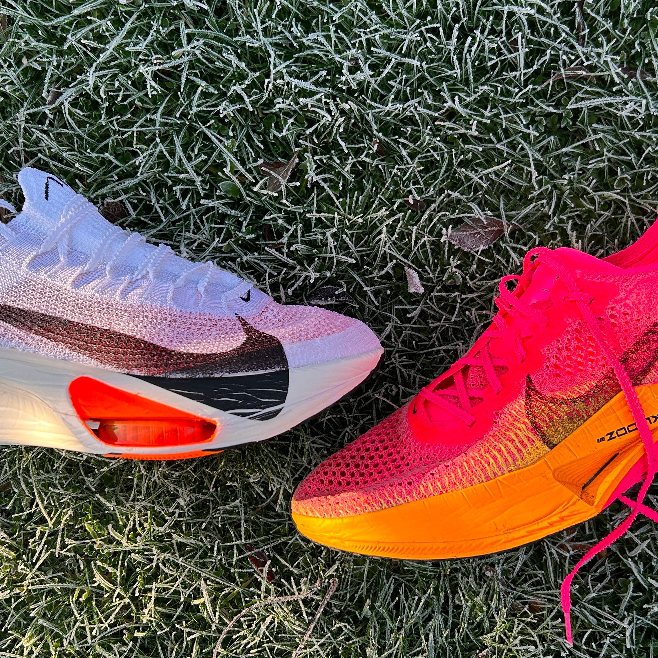 nike alphafly vs vaporfly next 2