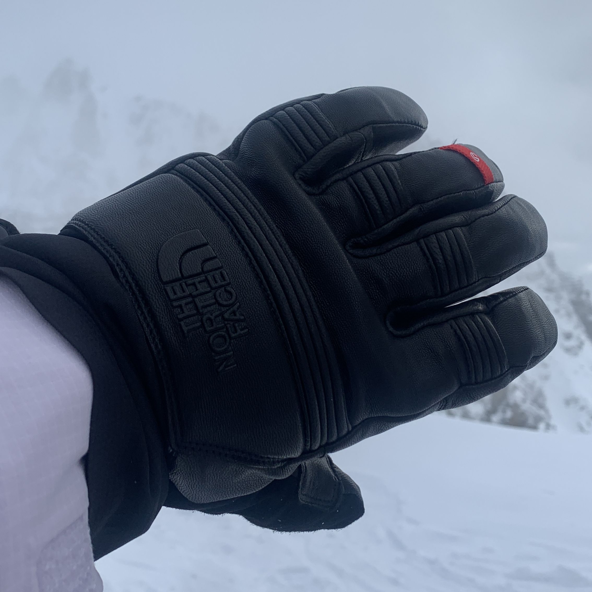 Supreme The North Face Steep Tech Gloves (FW22) - $110