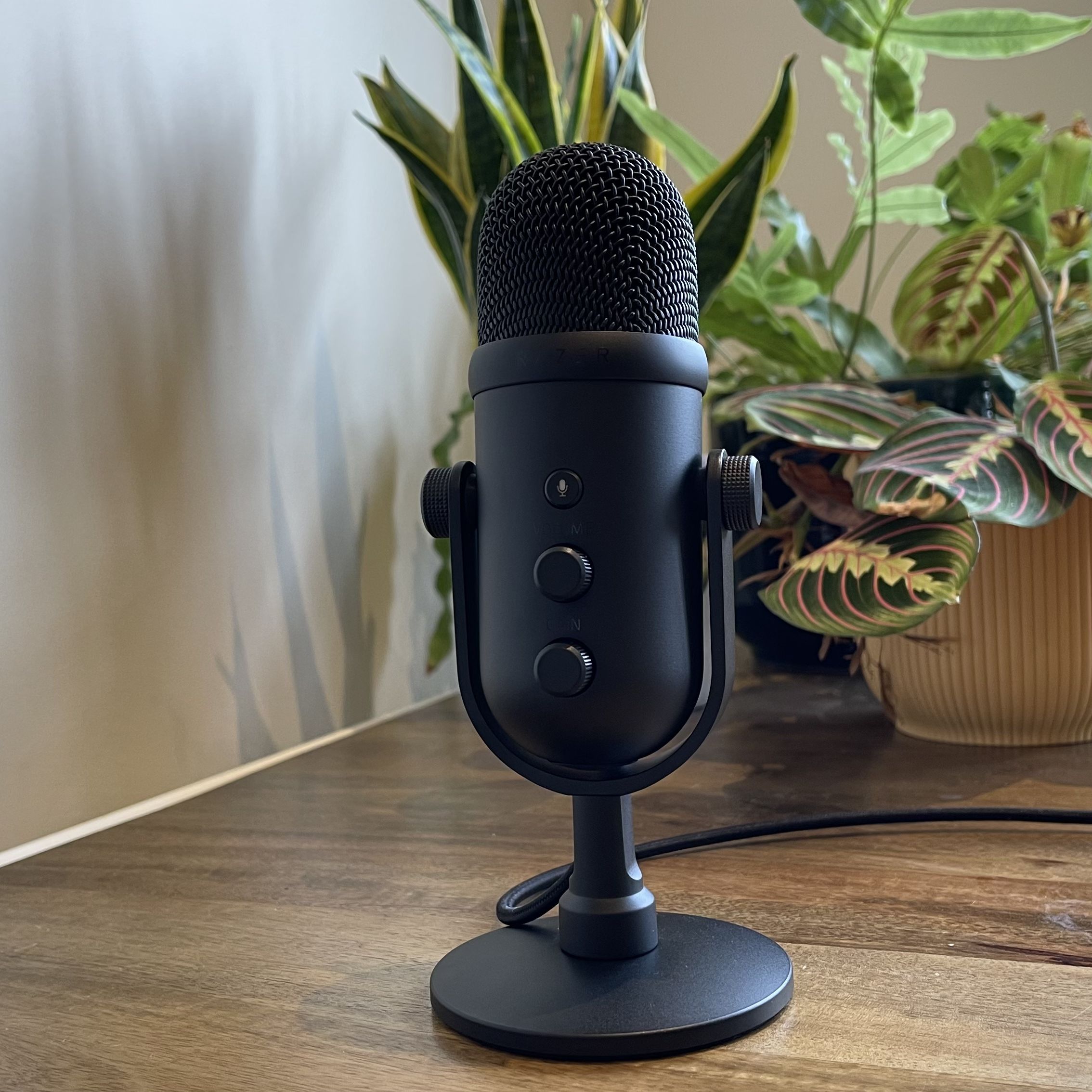Razer Seiren V2 Pro review: 