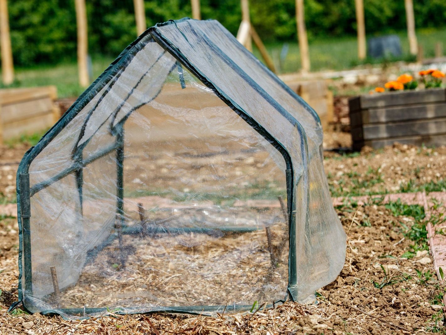 What Is A Grow Tent: Information About Grow Tents | Gardening Know How