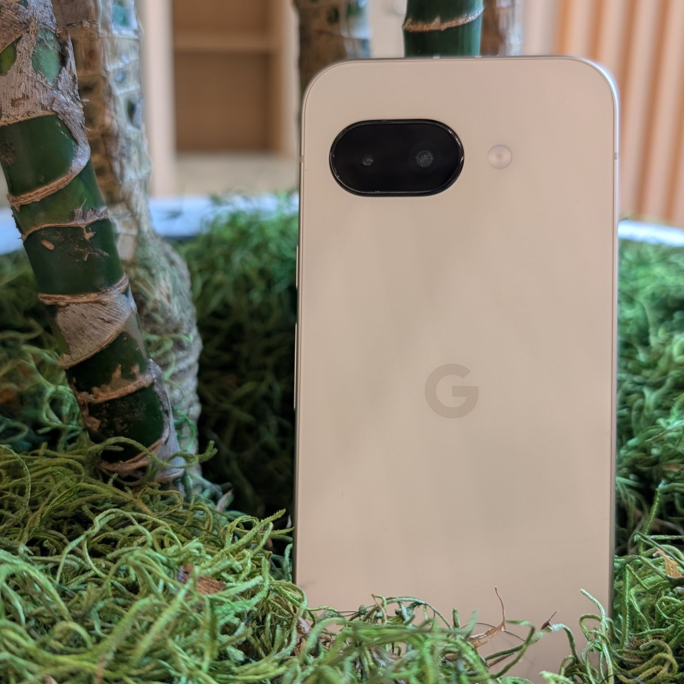 Google says its Pixel 9a features an older, less powerful Exynos