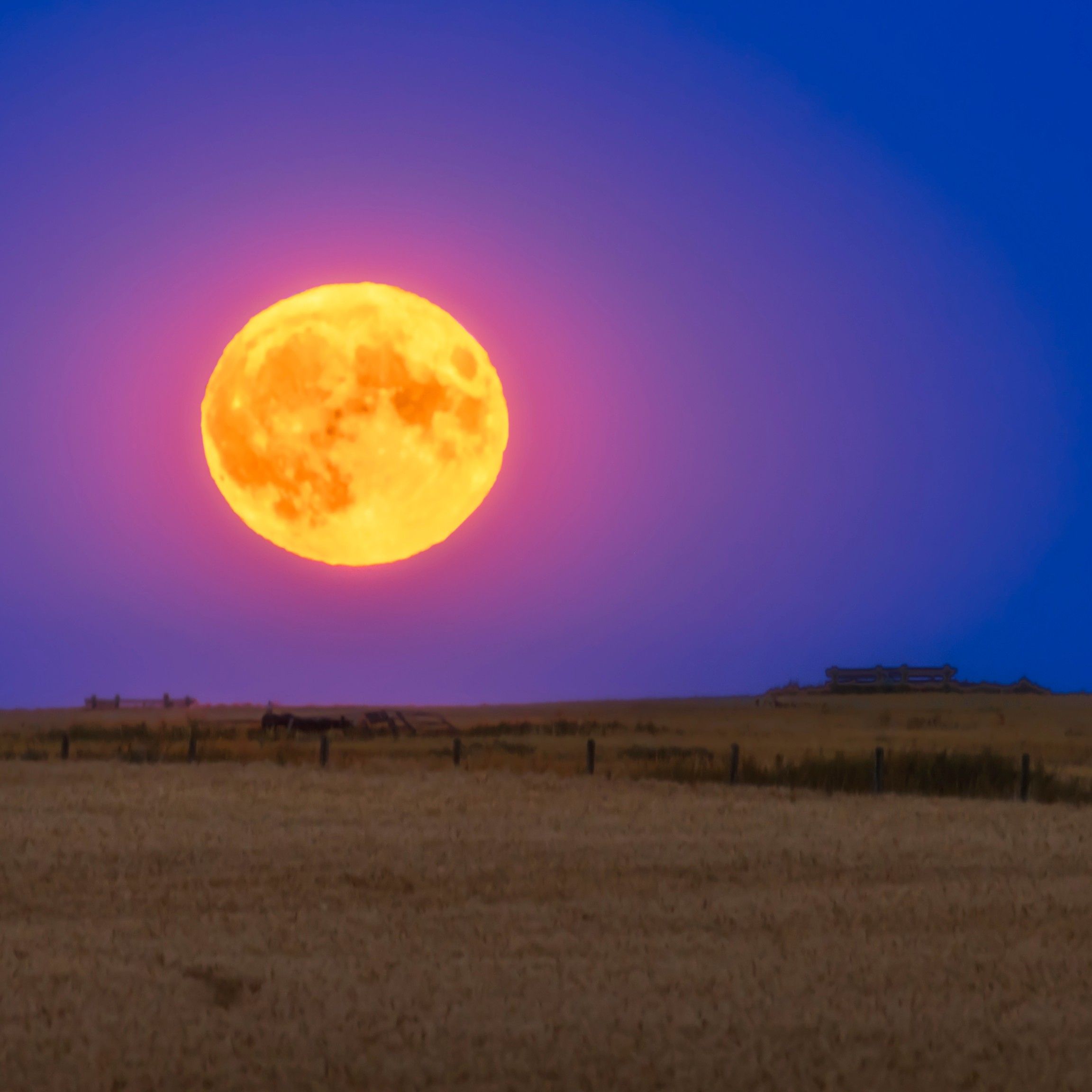 Buck Moon 2025: How to spot one of the lowest full moons of