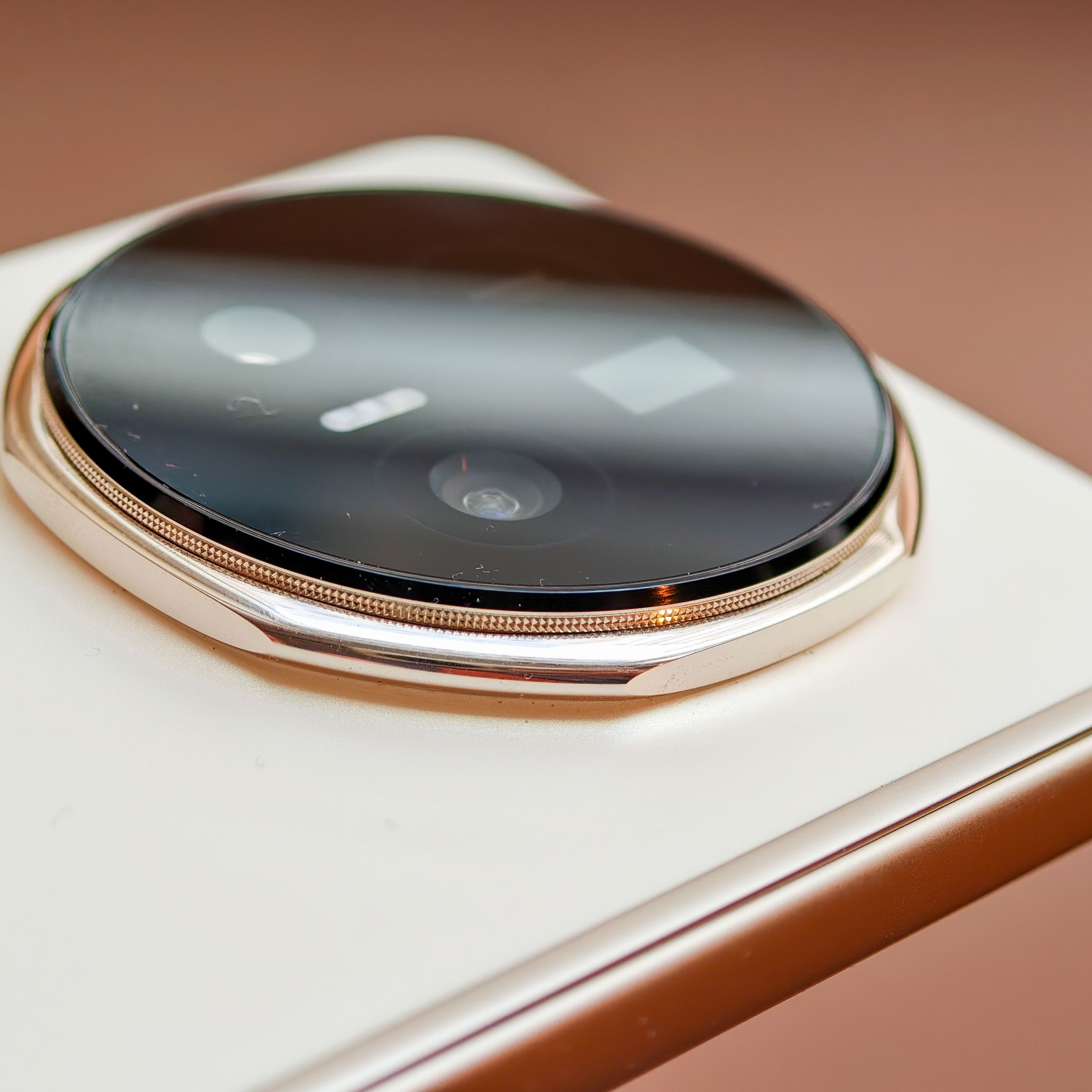 Laura isabella leon onlyfans OnlyFans y Similares Esta Zona