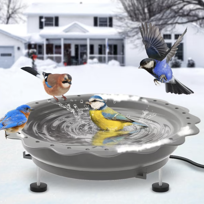 Lowe's, Heated Bird Bath