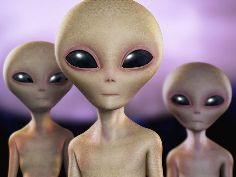 sex doll alien Realistic Silicone Sex Doll Cute Piggy Animal Sex Doll Men main image 1