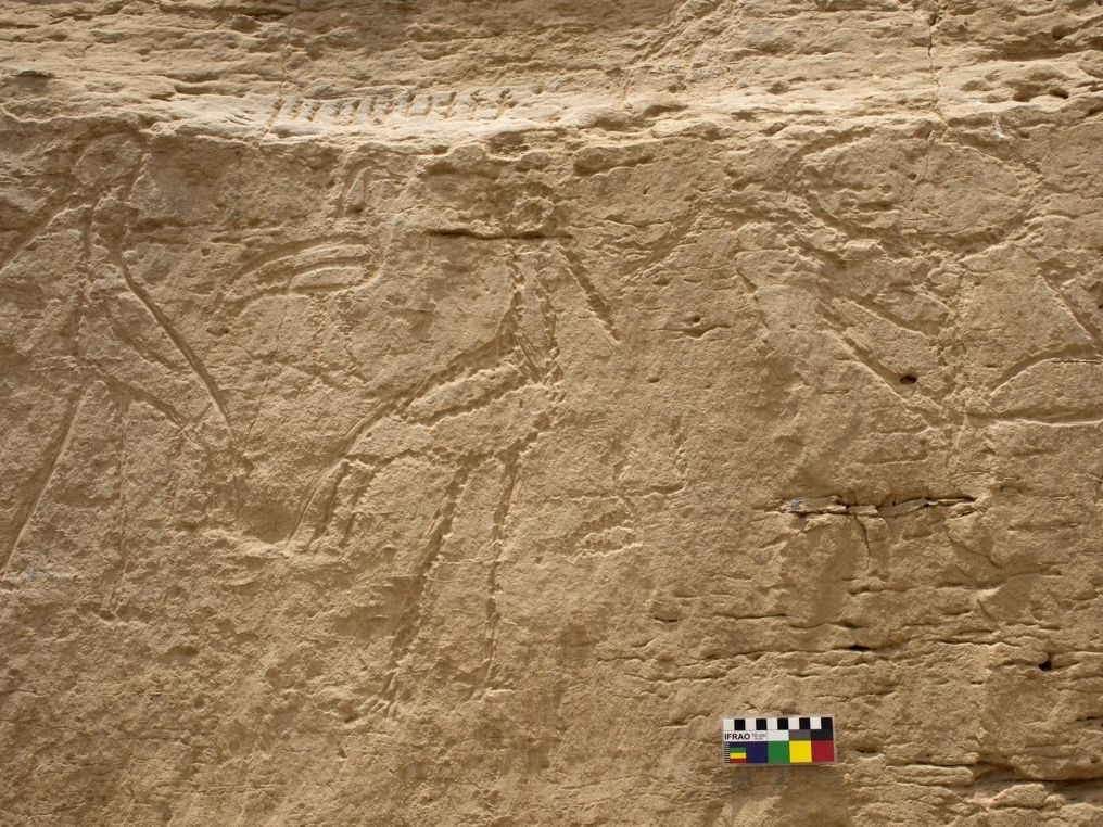 5,000-Year-Old 'Billboard' of Hieroglyphs Contains a Cosmic