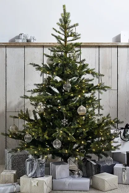 6ft Pre Lit Grand Spruce Christmas Tree | Christmas Trees | the Wh...