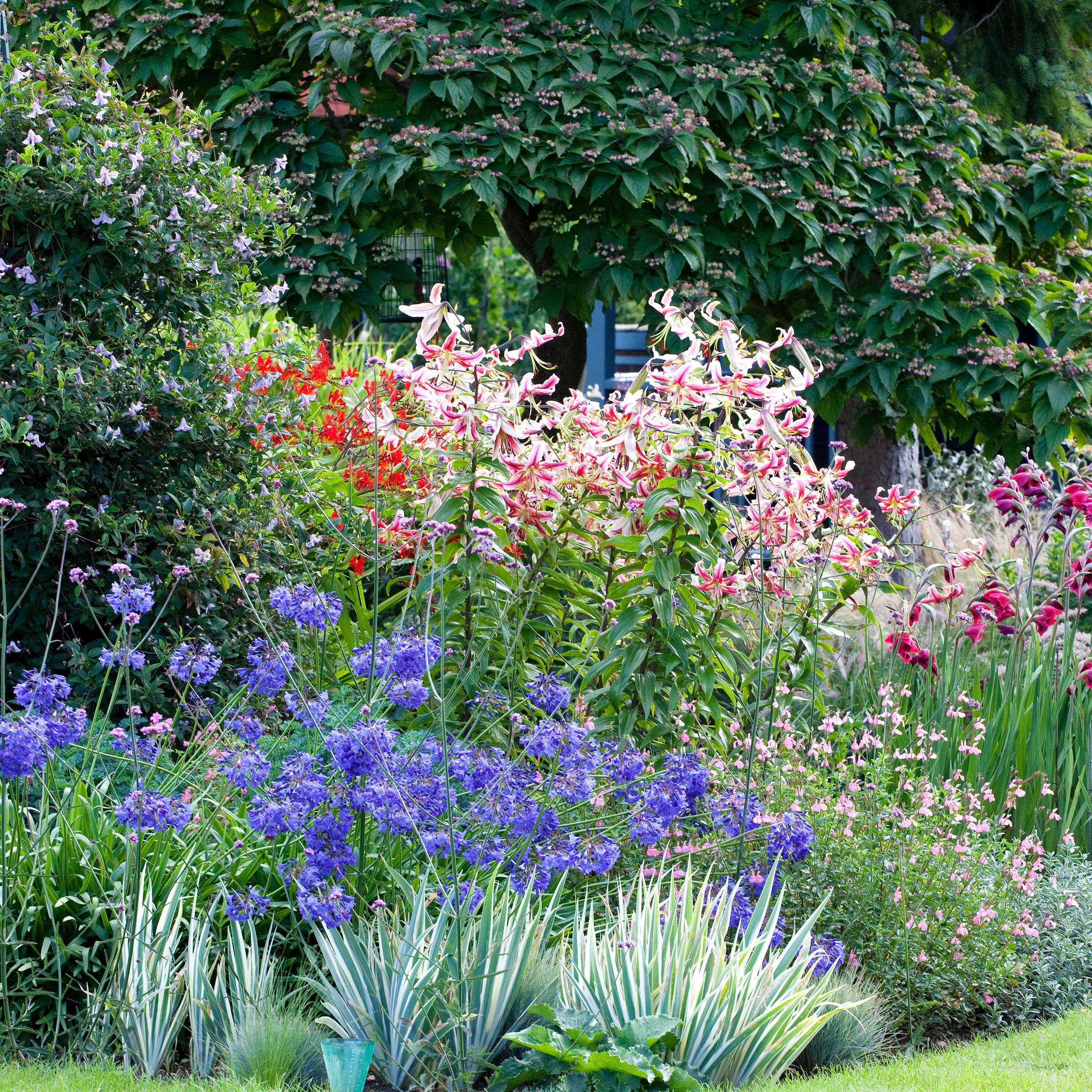 druppelaar planten Set van 6 Waterdruppelaars voor Gezonde Planten Groots®