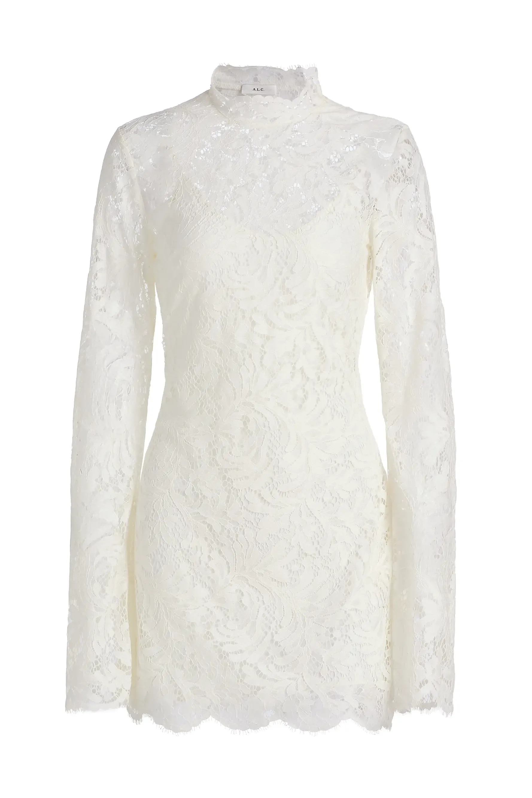 Eden Botanical Lace Minidress