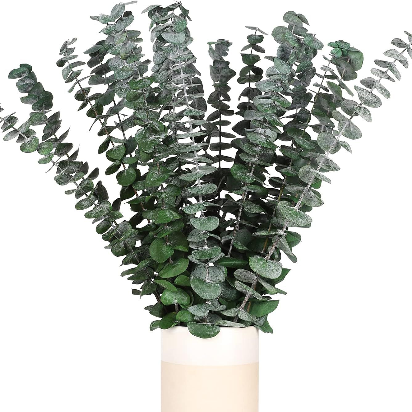 Hiagrow Real Eucalyptus Stems 20pcs Dried Preserved Fresh Eucalyptus Silver Dollar Leaves for Shower - Greenery Branches for Wedding Home Party Vase Filler Spring Decor