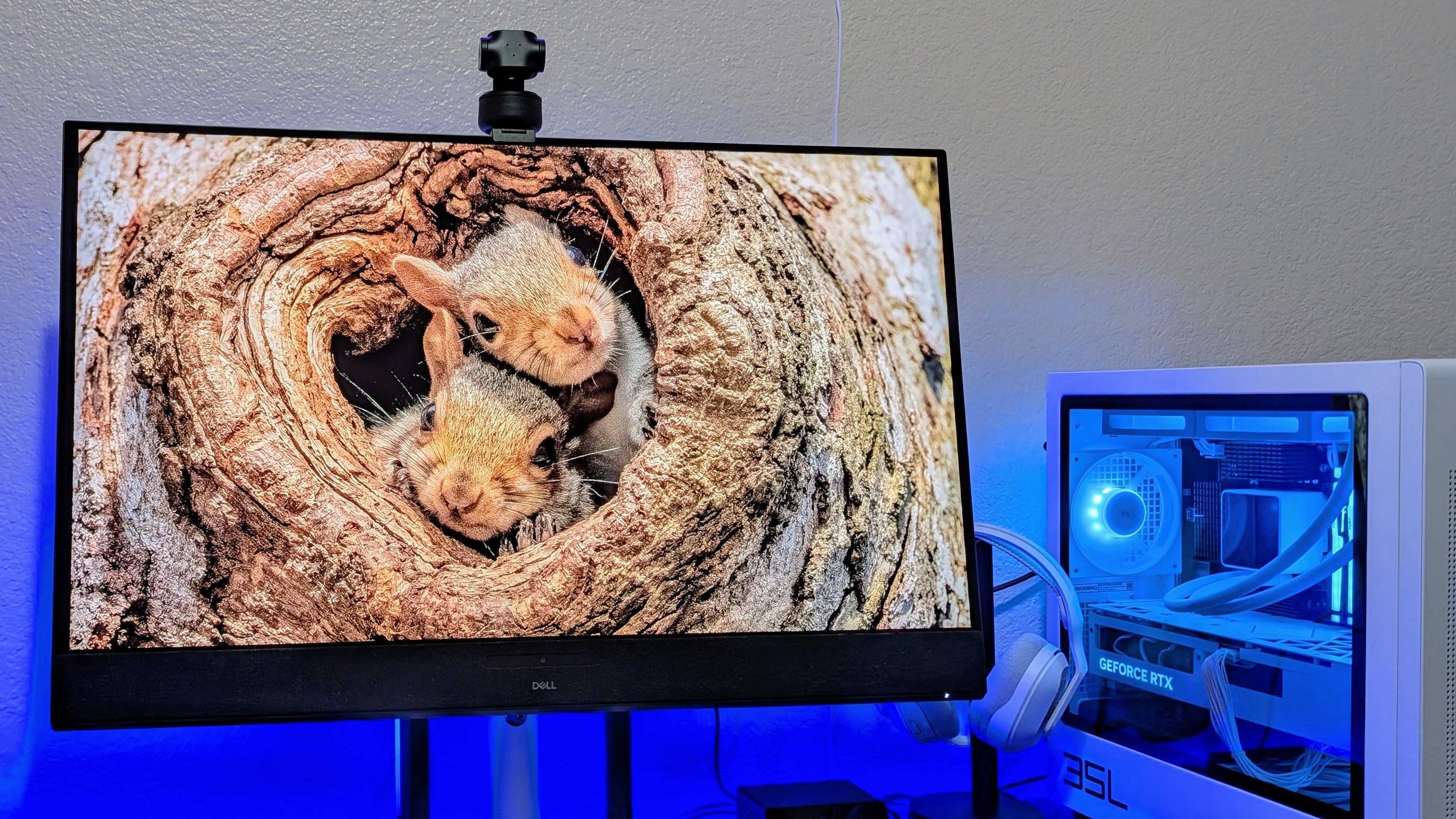 Image of the Dell 32 Plus 4K QD-OLED Monitor (S3225QC).