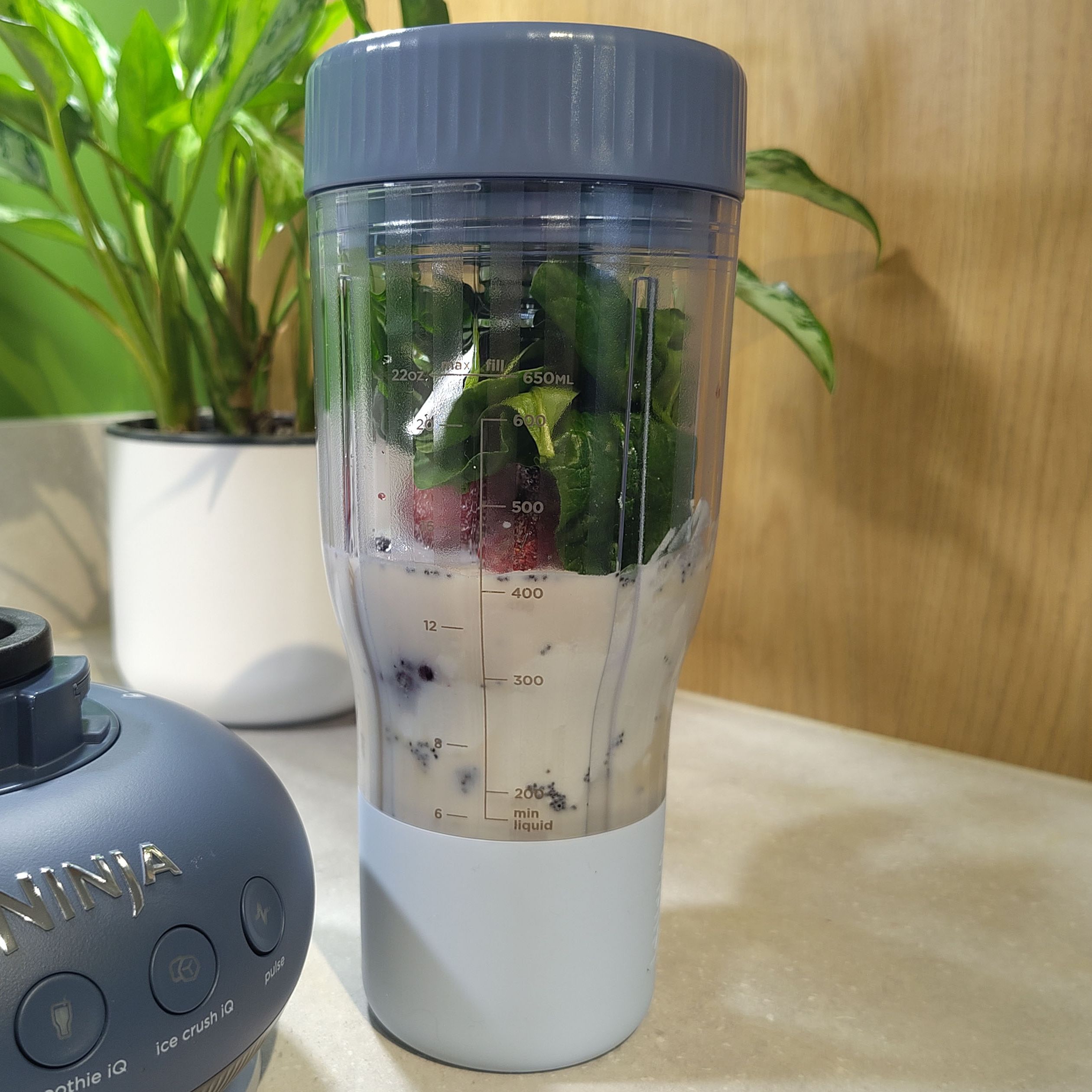 Hands-on with the Ninja BlendBoss — if there's an ingredient this