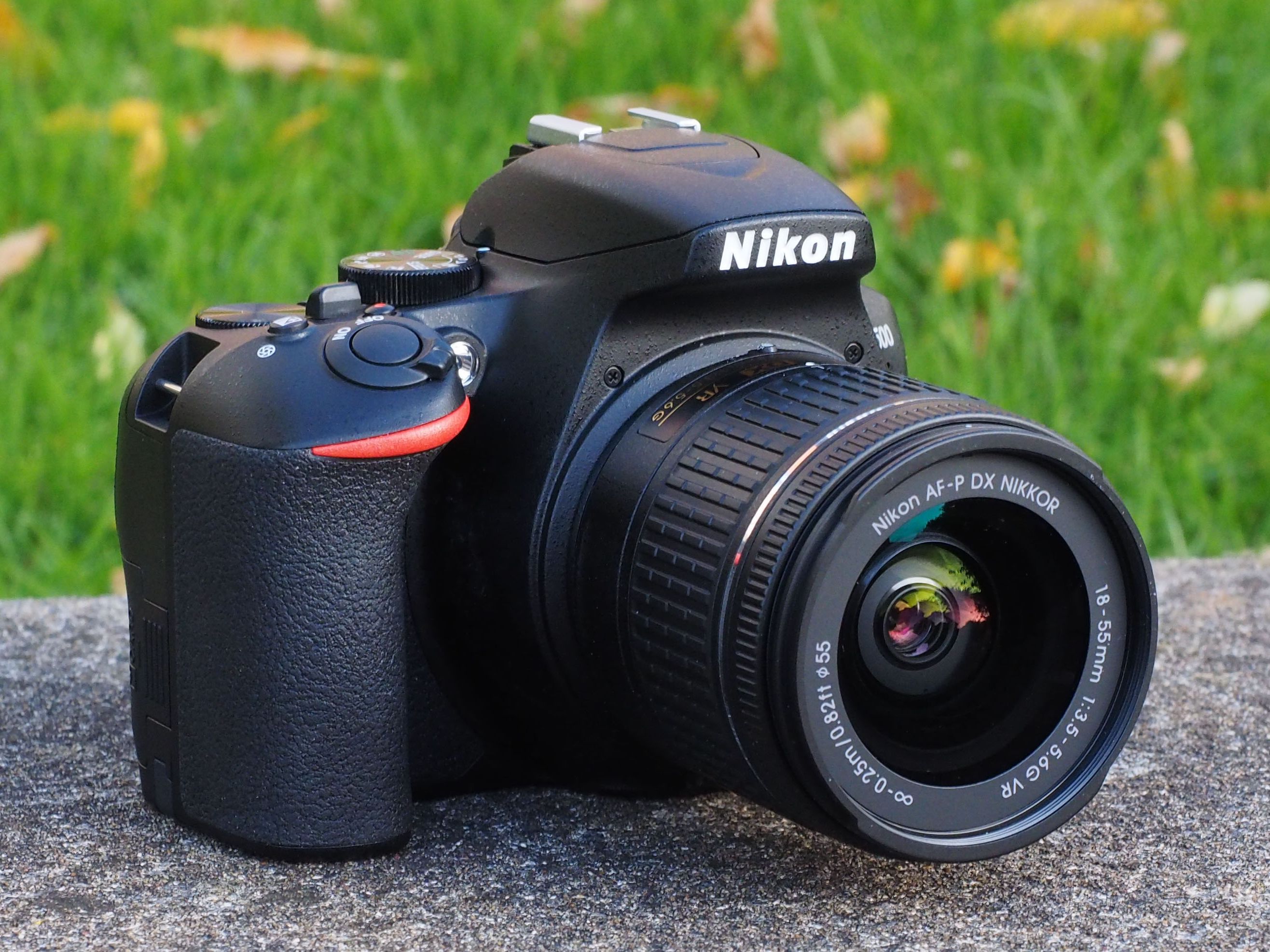 Amazon.com : Nikon D3500 24.2MP DSLR Camera Body : Electronics