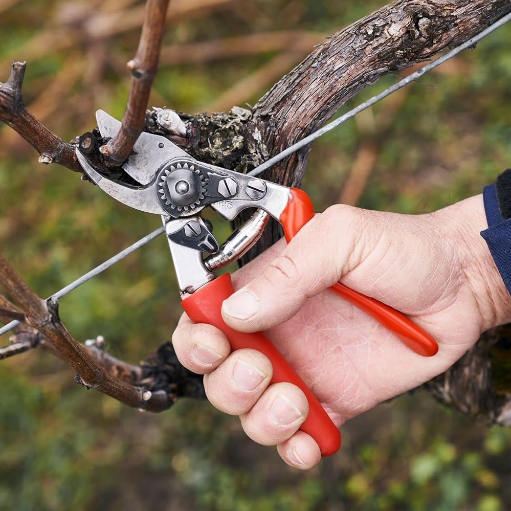 Felco F2 Pruning Shears &amp;ndash; 9.25&quot; Swiss-Made Garden Clippers for Professional Pruning | Hand Pruners for Gardening | Garden Tool Cutter With Precision Bypass Blade, Aluminum Body, Replaceable Parts