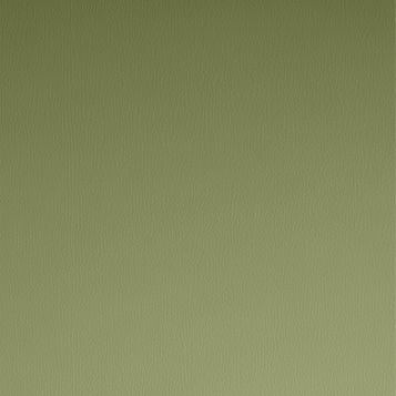 Green 18: Moss Green Paint - Matt Emulsion Paint