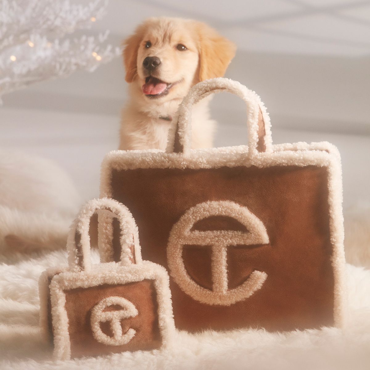 UGG × Telfar ファー付きショルダーバッグ 美品 eBFgEFiUDa8J9Y36tdL7MG.jpg