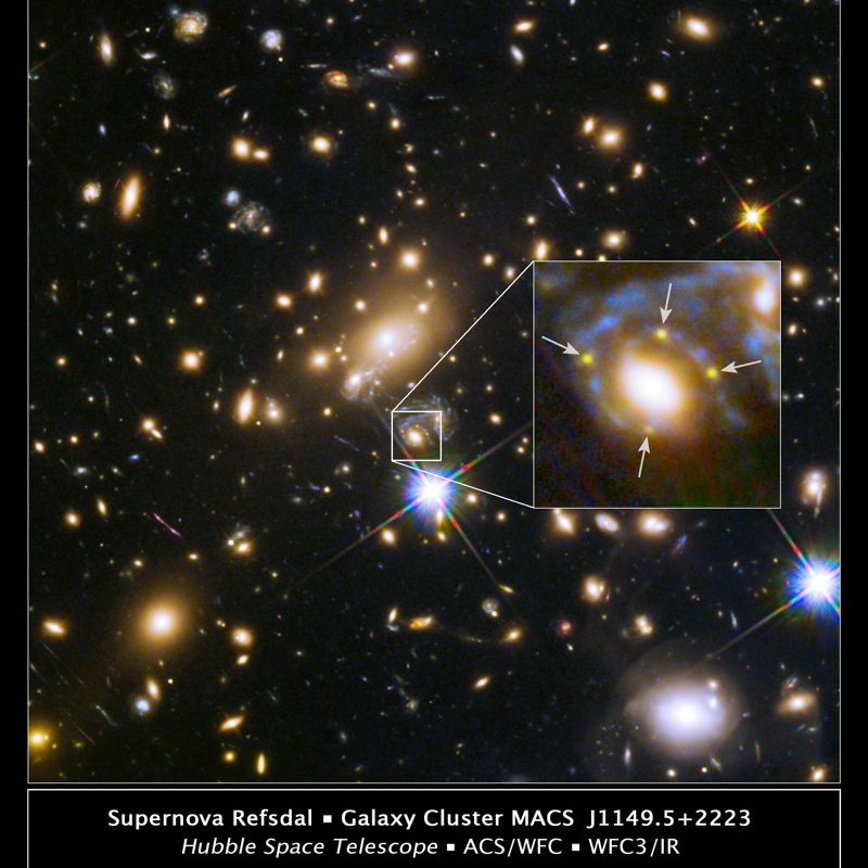 ◆ 作家Chesniks kaleidoscope supernova ◆ ◇ 作家Chesniks kaleidoscope supernova ◇ ARTIST