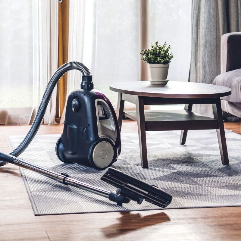 A vacuum standing on an small area rug in a living room