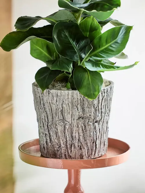 Faux Bois Taper Planter
