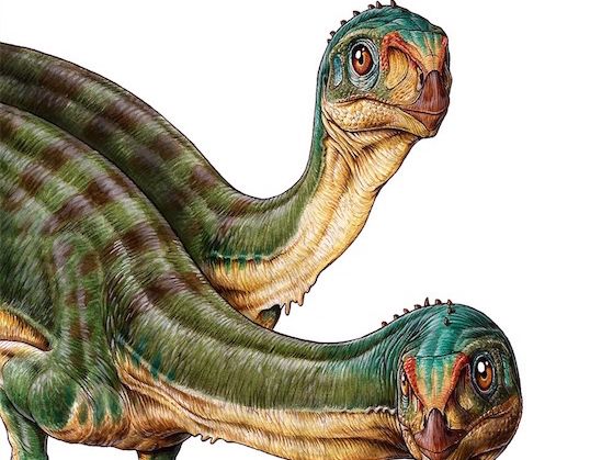 wyse・LAID・JURASSIC■EARLIEST MEMORIES This Enigmatic Dinosaur May Be the Missing Link in an