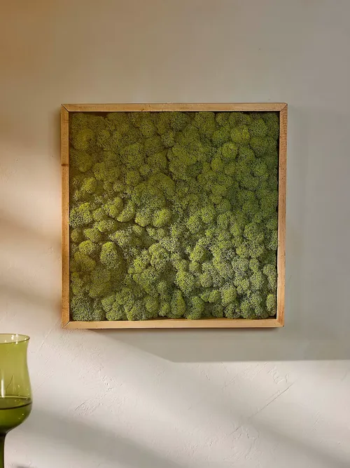 Framed Reindeer Moss