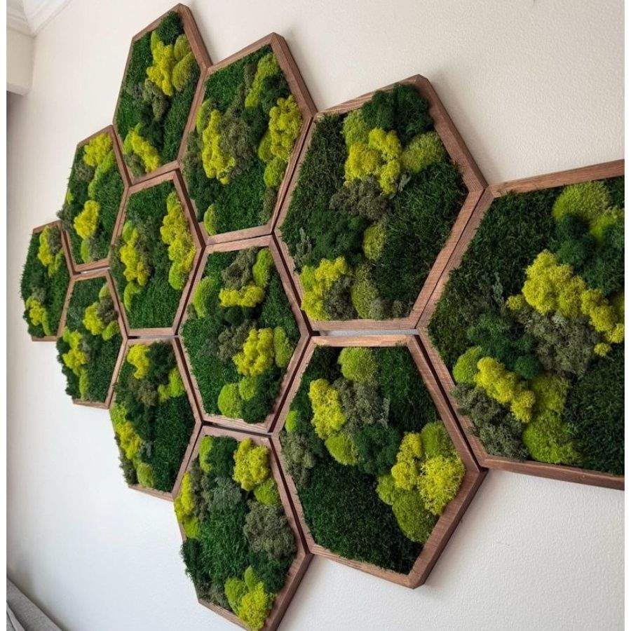 BrightBelleShop, Honeycomb Moss Wall Art