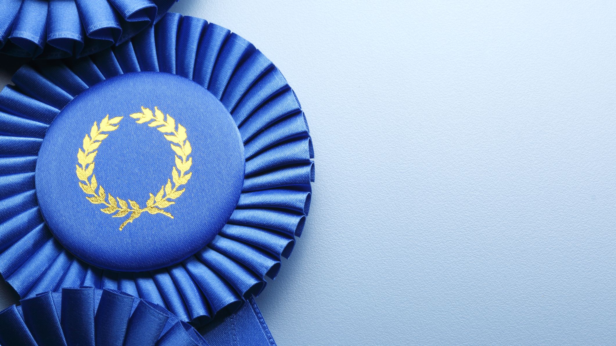 The Best Large-Cap Stocks to Buy | Kiplinger