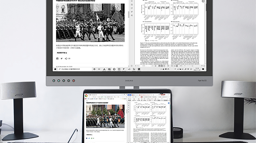 16 Shades of Gray at $2400: Dasung Launches 25-Inch E-Ink Monitor