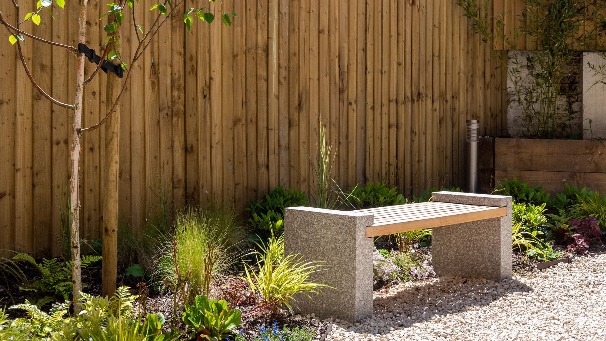 A garden bench with plants and birch tree on a nice sunny day