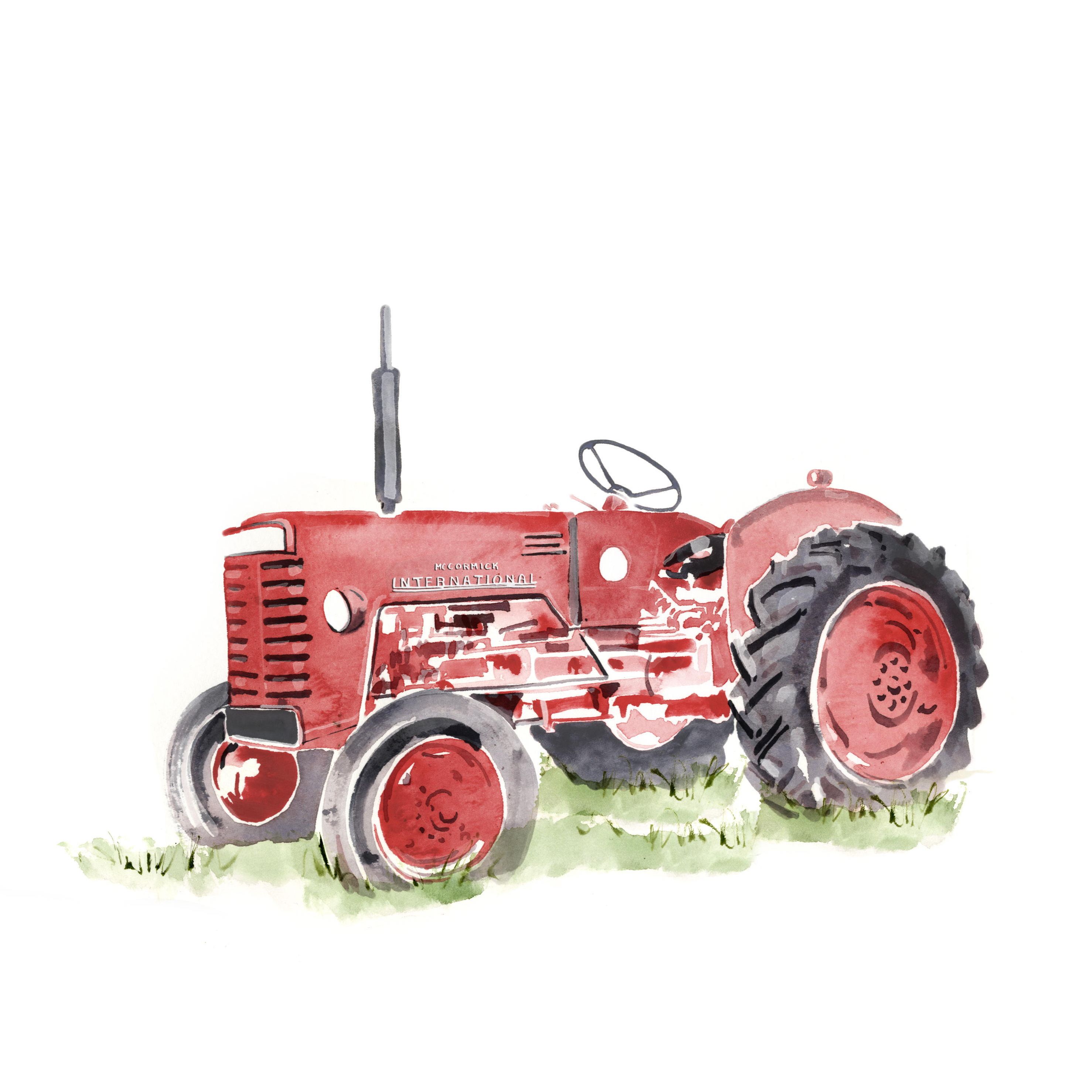 James Middleton's favourite things illustrations