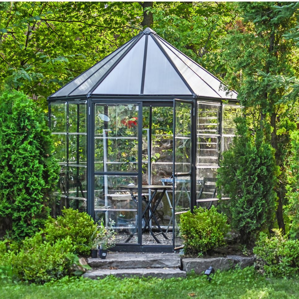 Canopia Palram - Canopia Oasis Hexagonal Walk-In Hobby Polycarbonate Aluminum Frame Greenhouse Outdoor Living Structure - Gray &amp;amp; Reviews | Wayfair